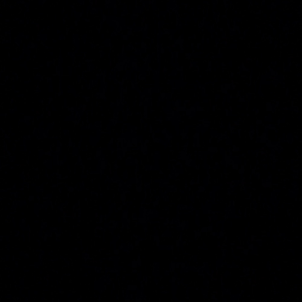 Meet your Posher, Jessie